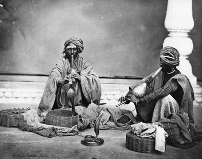 Snake Charmers by Charles Robertson
